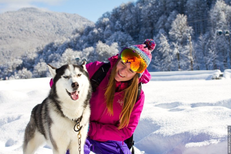 Husky 2 Ice