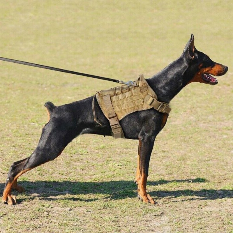 Шлейка Police k9