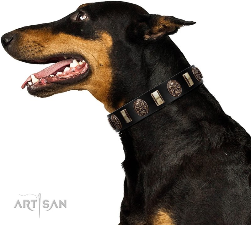 Doberman Dogtra Collar