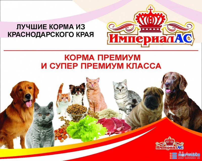 Корм для собак и кошек реклама