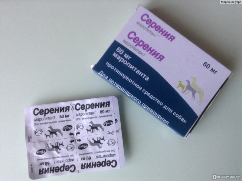 Таблетки от укачивания для собак