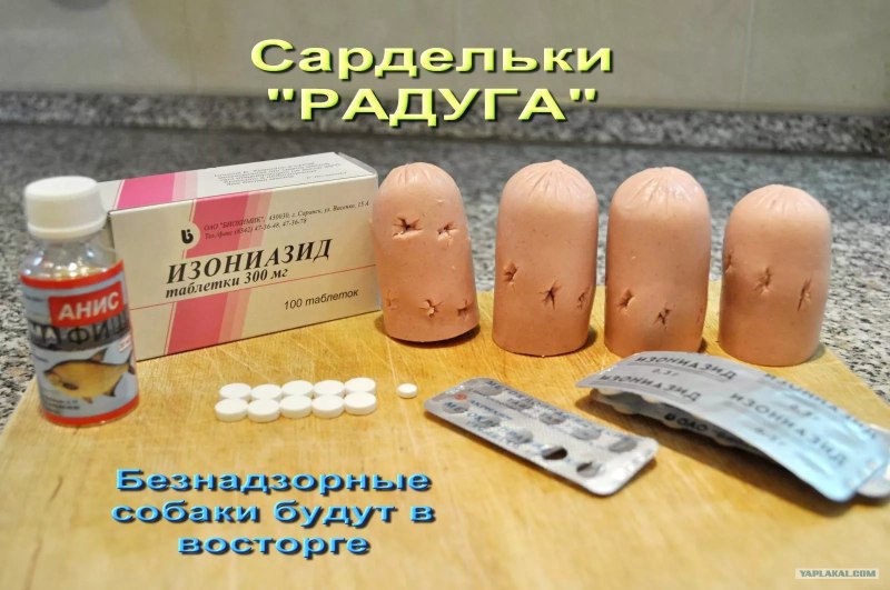 Лекарства отрава для собак