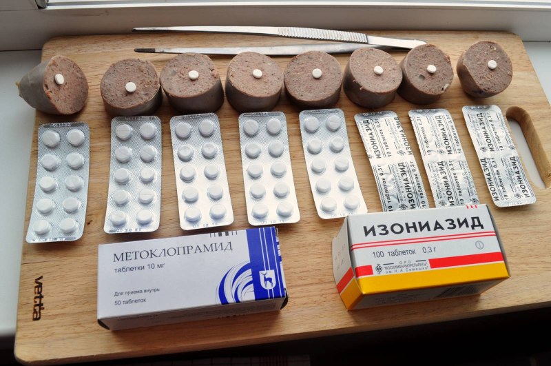 Таблетки для отравление собаки