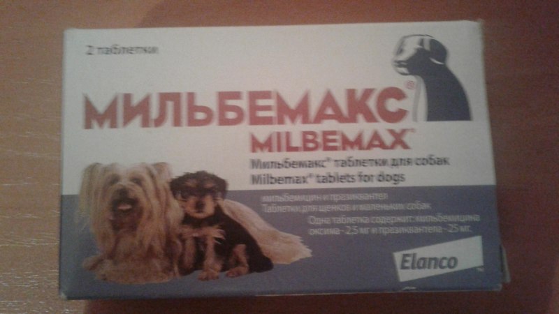Milbemax for Dogs treatment of helminthiasis