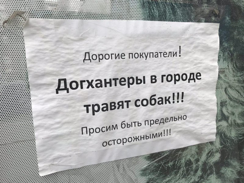 Осторожно травят собак