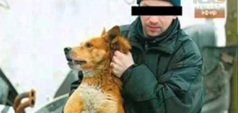Травля бездомных животных