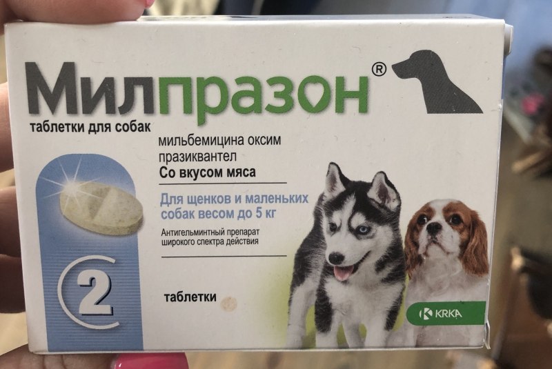 Таблетки от гельминтов для собак