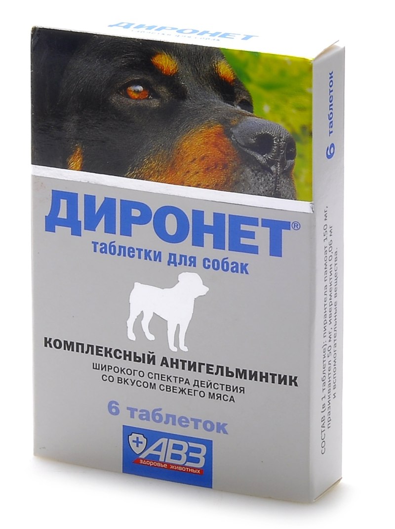 Симптомы отравления у собак