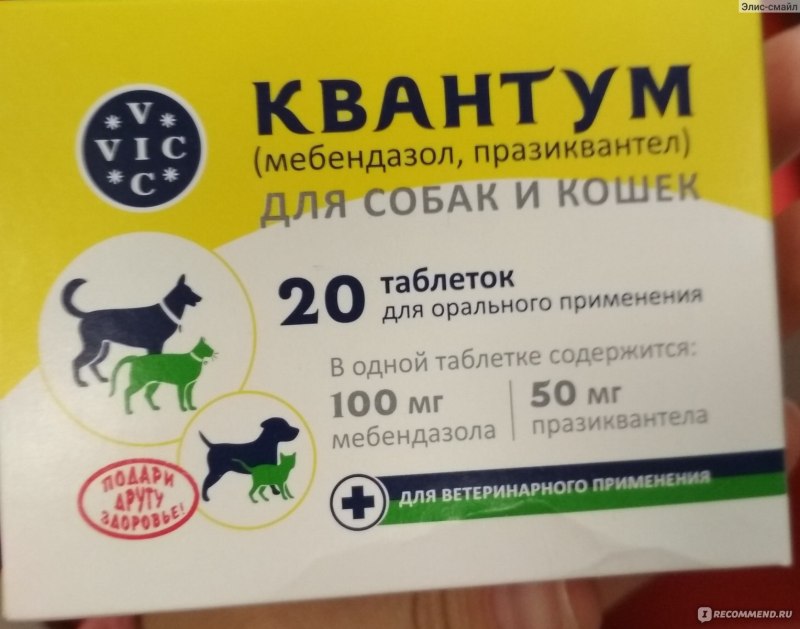 Симпарика таблетка для собак 20-40 кг