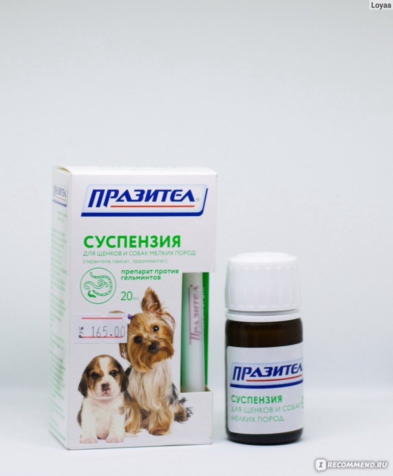 Пекинес прививки