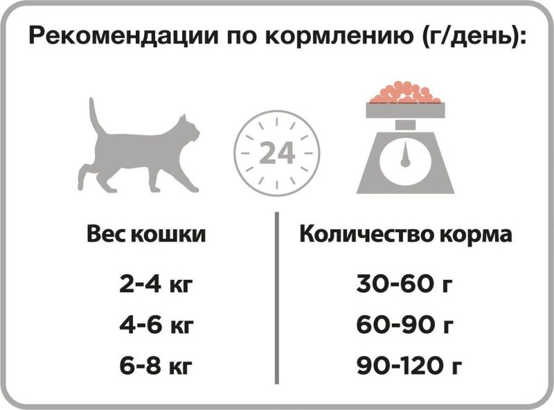 Схема кормления кошки