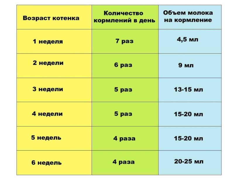 Норма кормления котенка 1.5 месяца