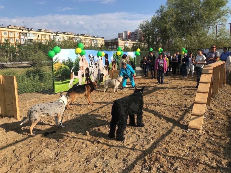Собачья площадка