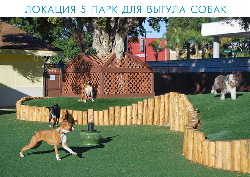 Парк для собак