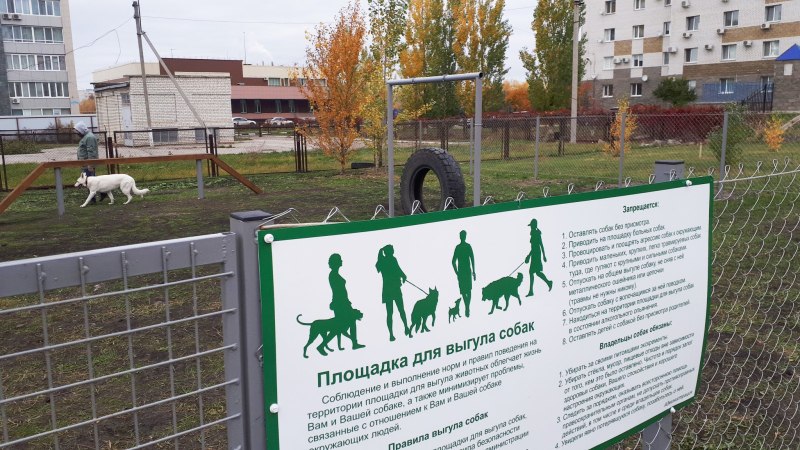 Место для выгула собак