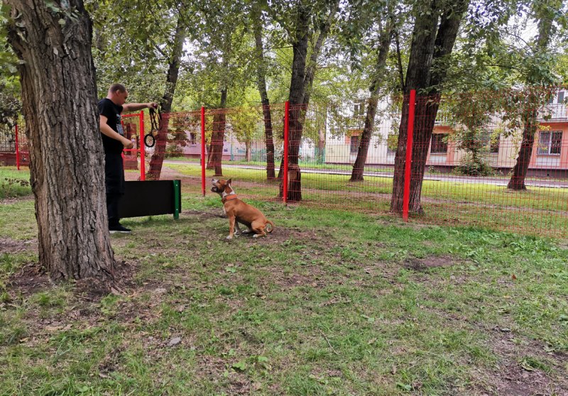Место для выгула собак