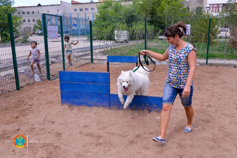 Место для выгула собак