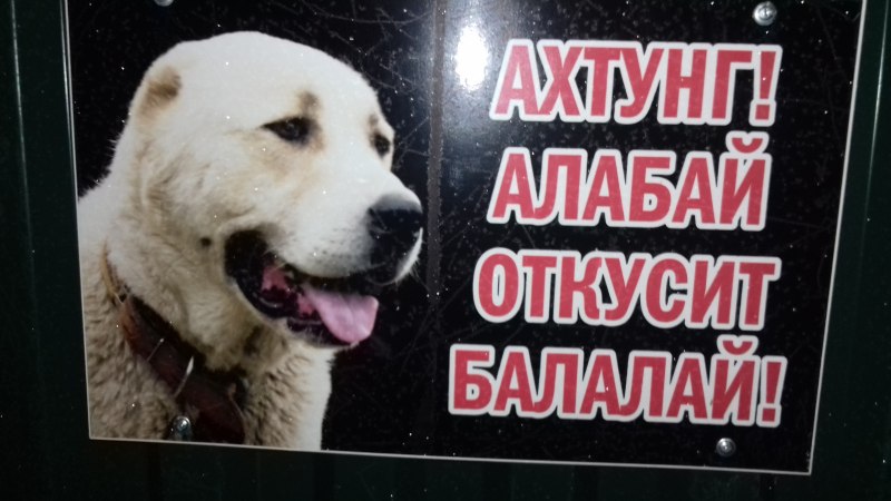 Табличка осторожно злая собака алабай