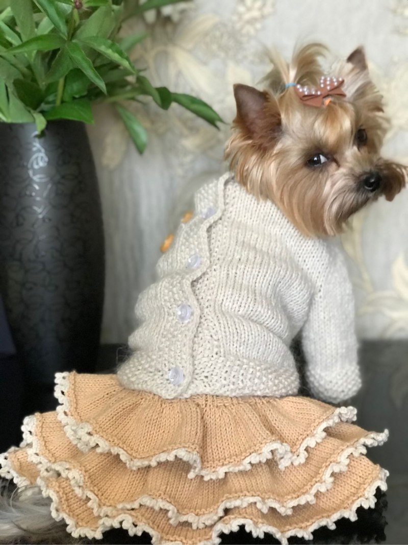 Dog Sweater Knitting pattern straight Needles