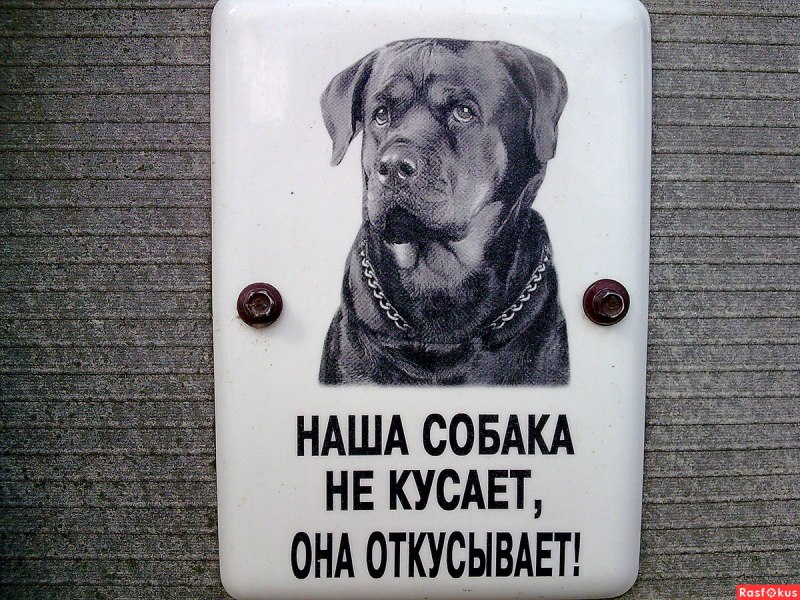 Щенок кусается