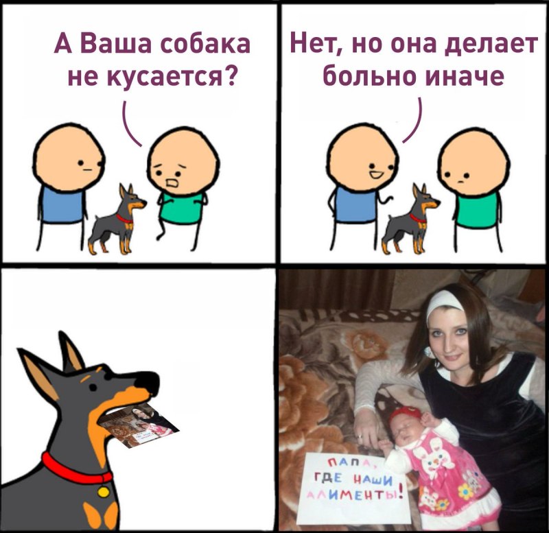 Собака вцепилась в руку