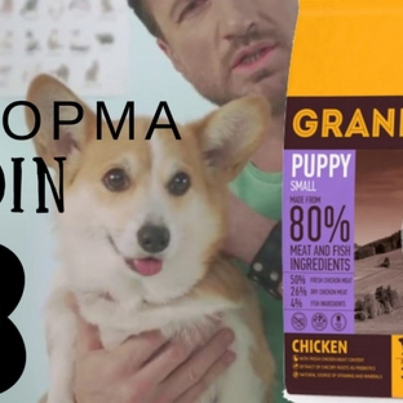 Корм для кошек Grandin Holistic