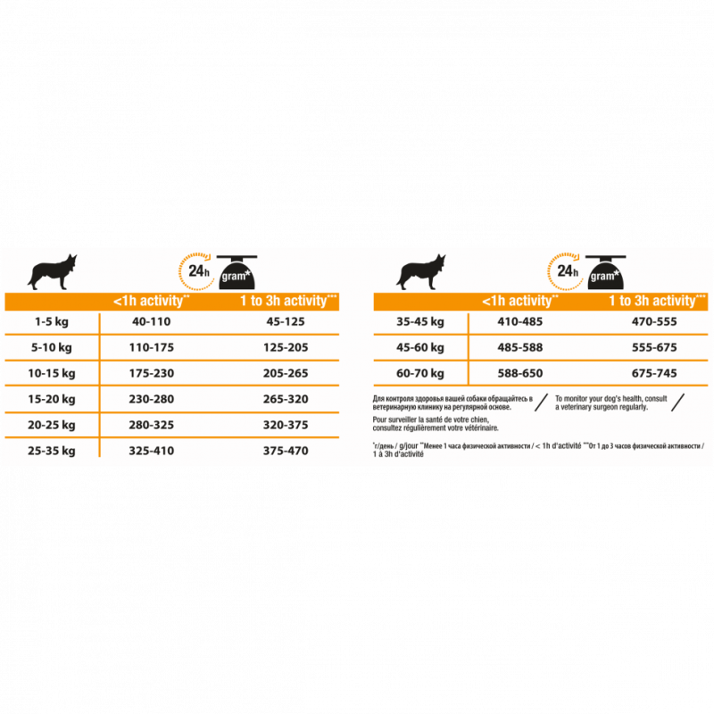 Agility для собак
