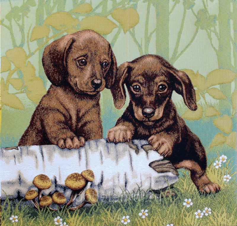 Рисование таксы на природе