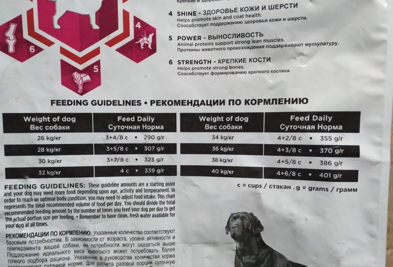 Роял Канин для лабрадоров