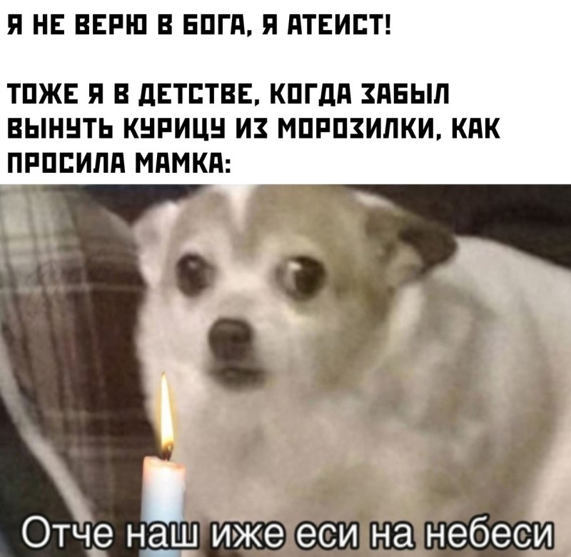 Плачущий чихуахуа