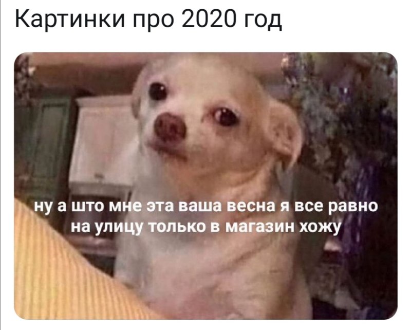 Котик с пузырьком из носа