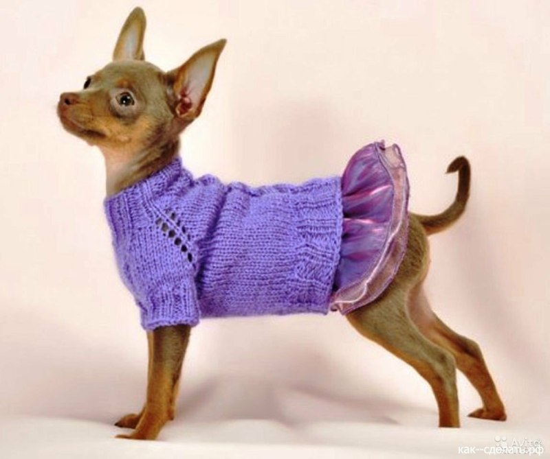 Комбинезон для собак Triol Disney Stitch l