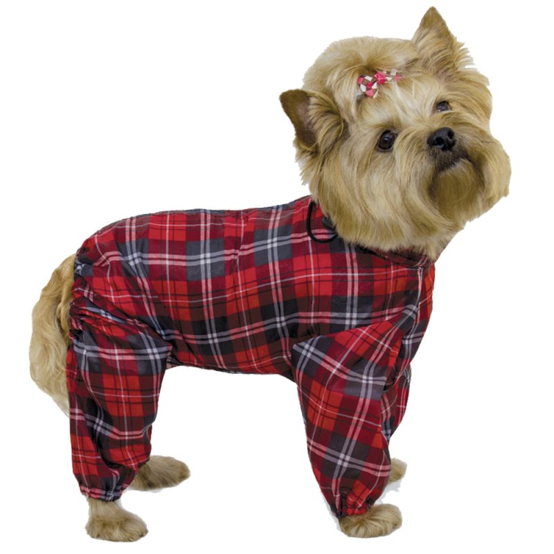 Dogmoda / комбинезон "спорт"