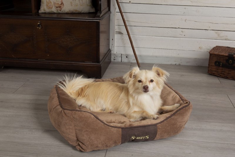 Лежак для животных с бортиками Scruffs Chester