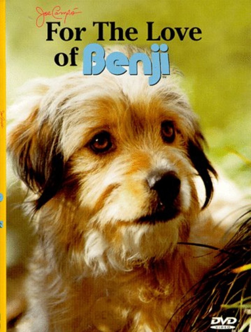 Интерактивная собака Benji