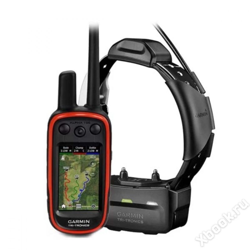 Garmin Astro 430 с ошейником