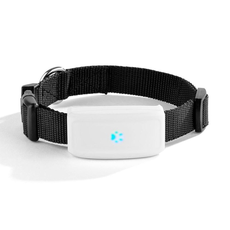 GPS-ошейник Garmin t5