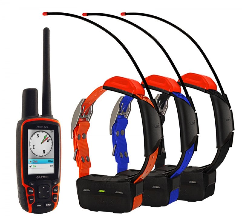 Ошейник синий Garmin pt10