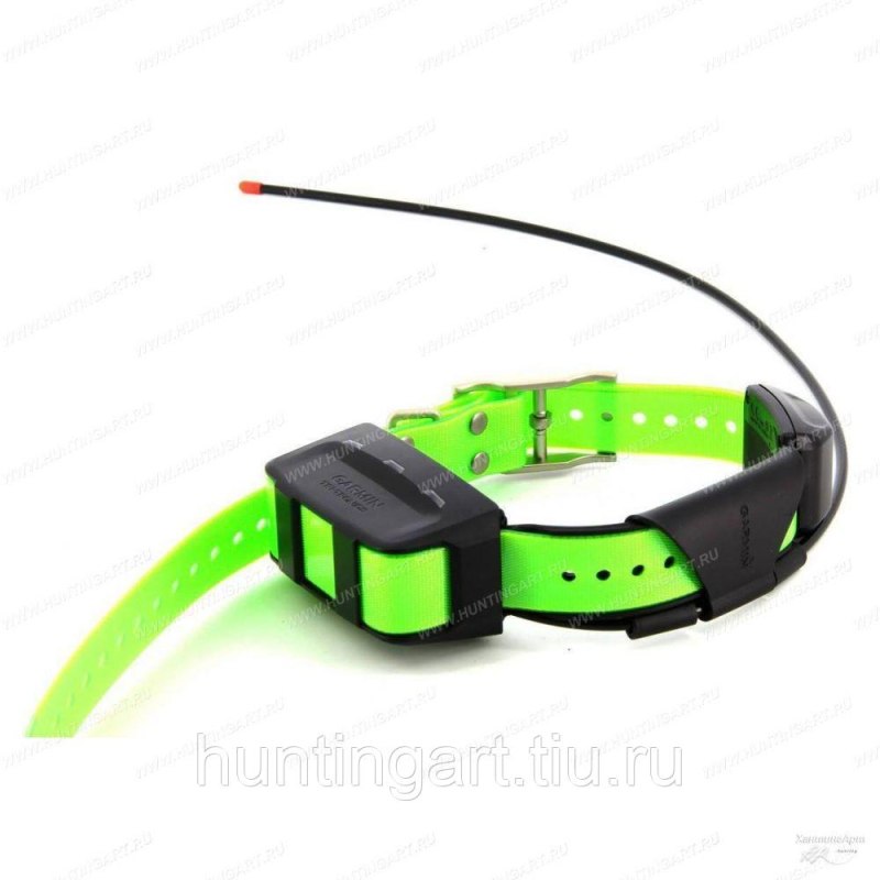 Garmin Alpha 100 с ошейником tt15