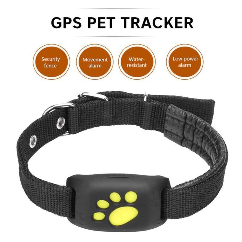 Ошейник Garmin t5