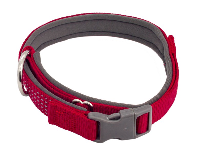 Garmin Alpha 100 tt15