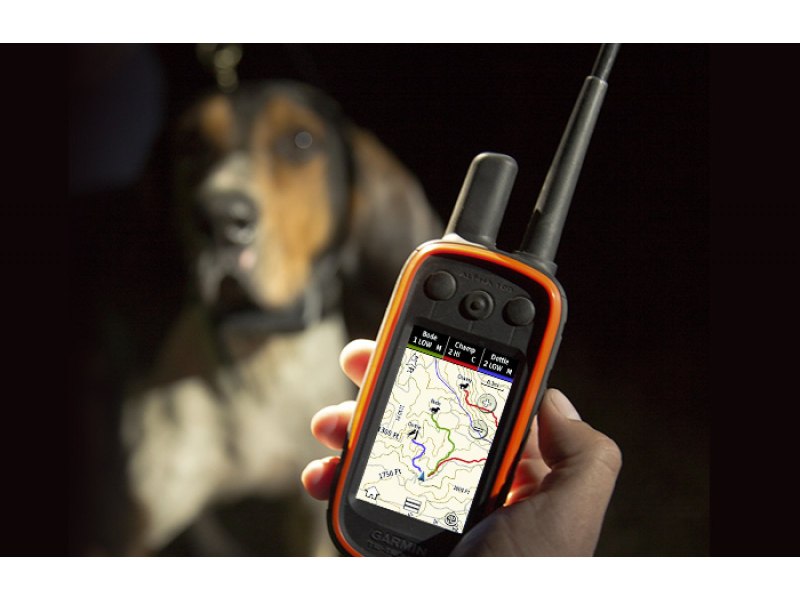 Ошейник DC 50 для Garmin