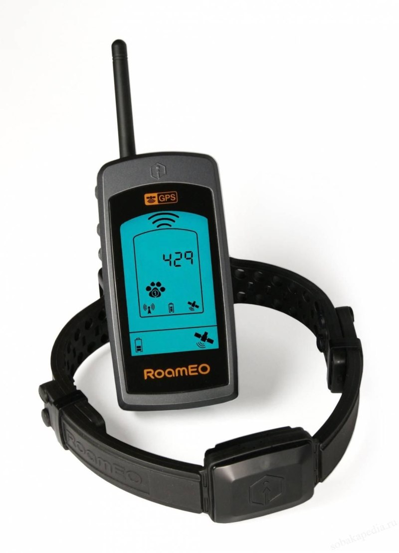 GPS-ошейник Garmin t5