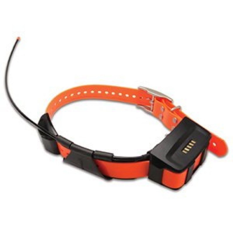 T5 Collar Rus ошейник (010-01041-f4)