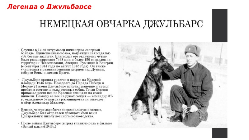 Немецкий дог и немецкая овчарка