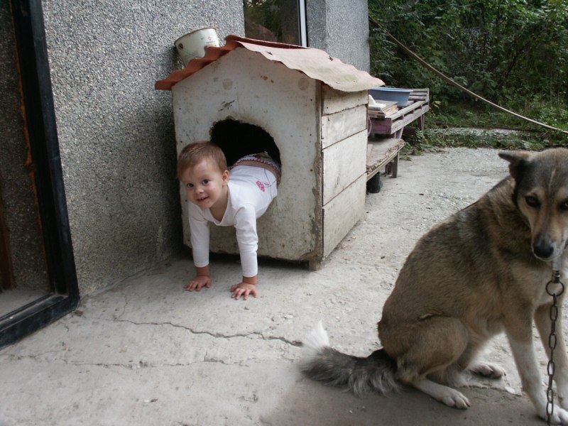 Щенок в саду