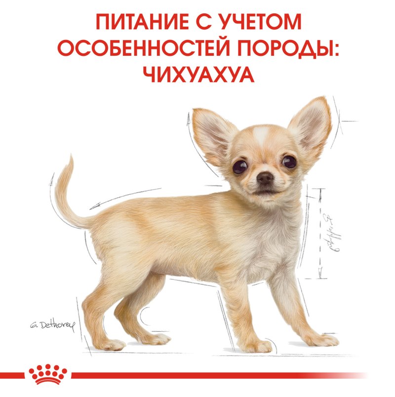 Dog lunch консервы для собак