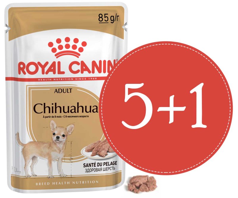 Паштет Royal Canin Chihuahua