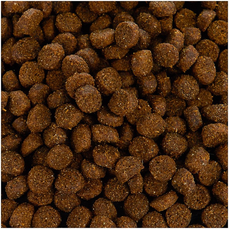 Корм для собак Dailydog (12 кг) Adult Lamb and Rice