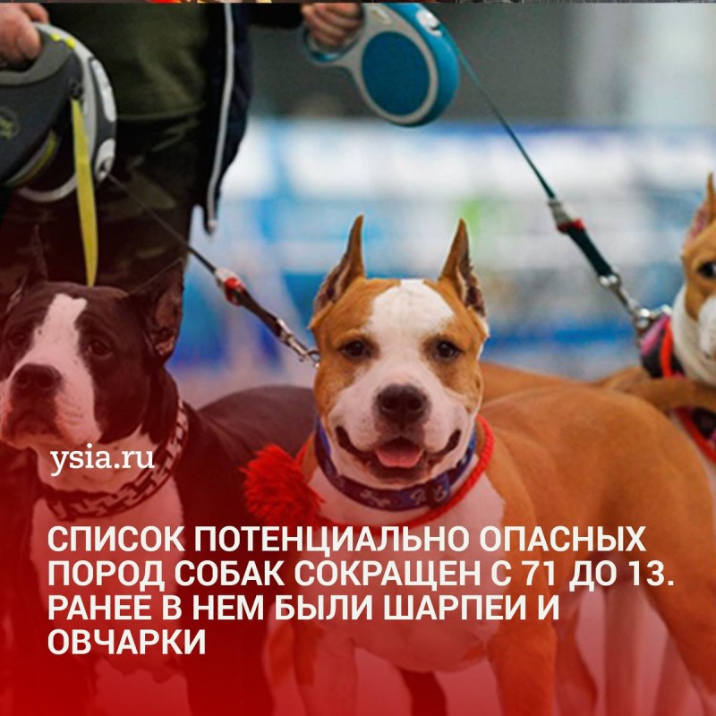 Перечень опасных пород собак в России